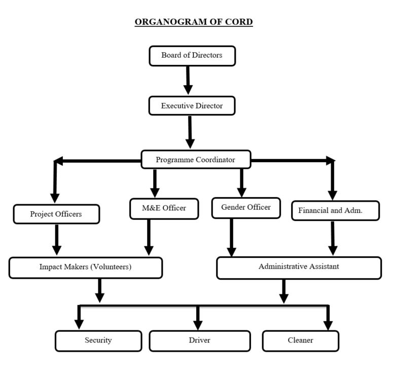 Organogram of cord